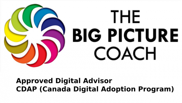 The Big Picture Coach (Approved CDAP Advisor)